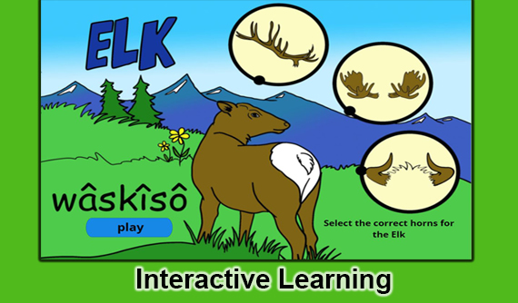 Interactive Learning